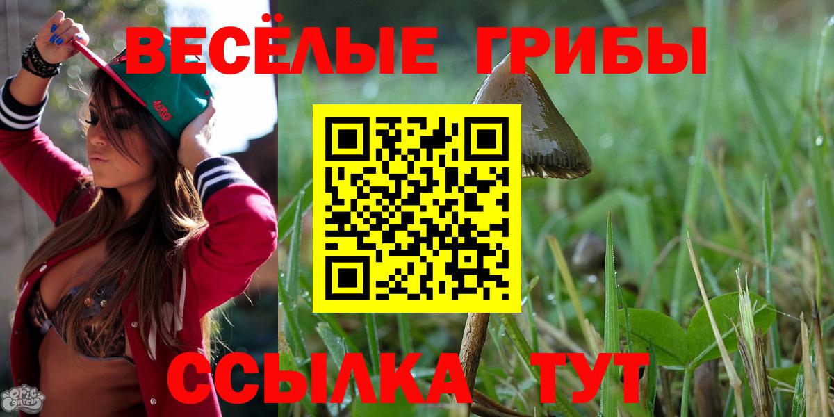 Псилоцибиновые грибы ЛСД  Вход с VPN  Пятигорск  Псилоцибиновые грибы Cubensis 